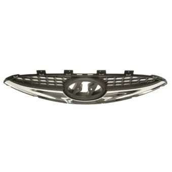 Grille de radiateur BLIC 6502-07-3129990P