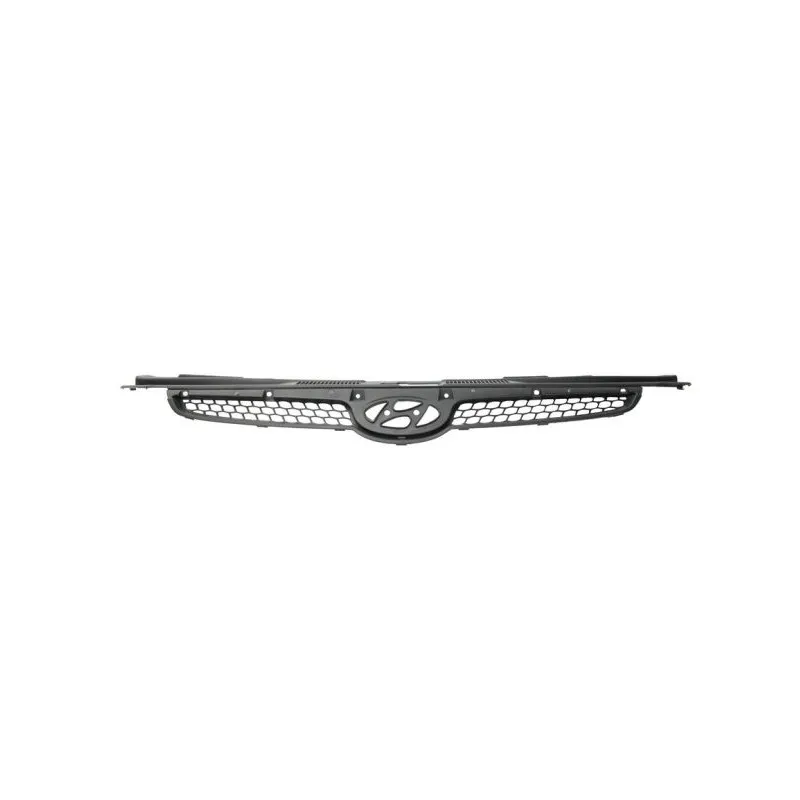 Grille de radiateur BLIC 6502-07-3135990P