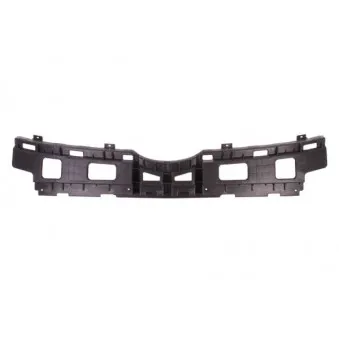 Grille de radiateur BLIC 6502-07-3135991P