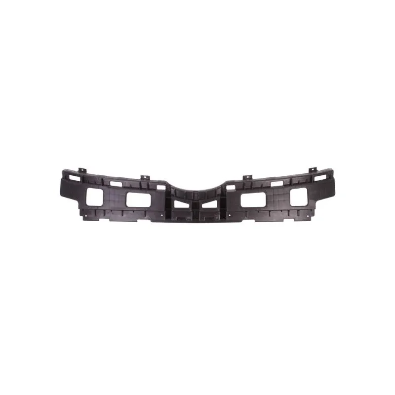 Grille de radiateur BLIC 6502-07-3135991P