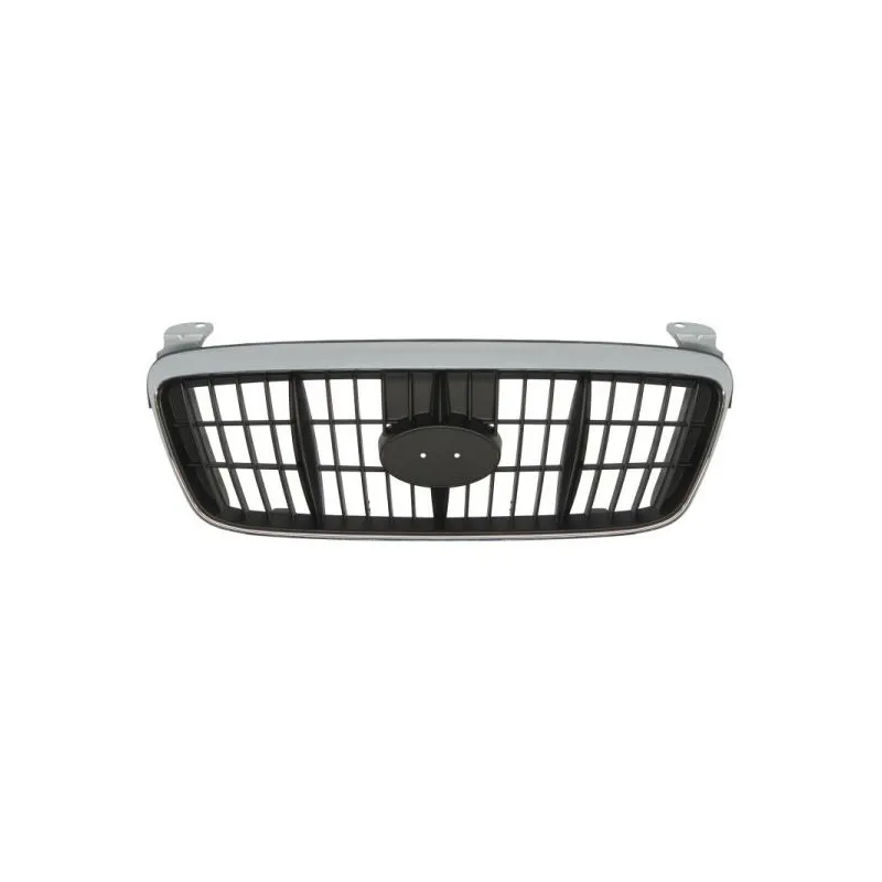 Grille de radiateur BLIC 6502-07-3163990P