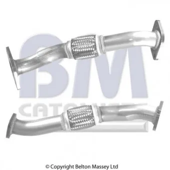 Tuyau d'échappement BM CATALYSTS BM50310