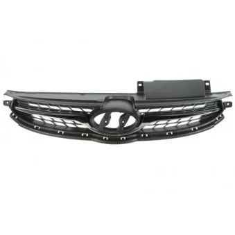 Grille de radiateur BLIC 6502-07-3171990P