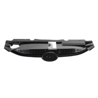 Grille de radiateur BLIC 6502-07-3176990P