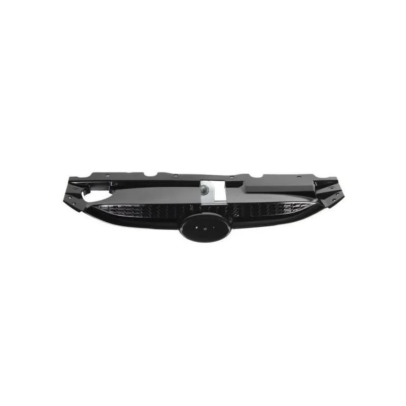 Grille de radiateur BLIC 6502-07-3176990P