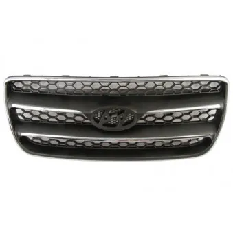 Grille de radiateur BLIC 6502-07-3181990P