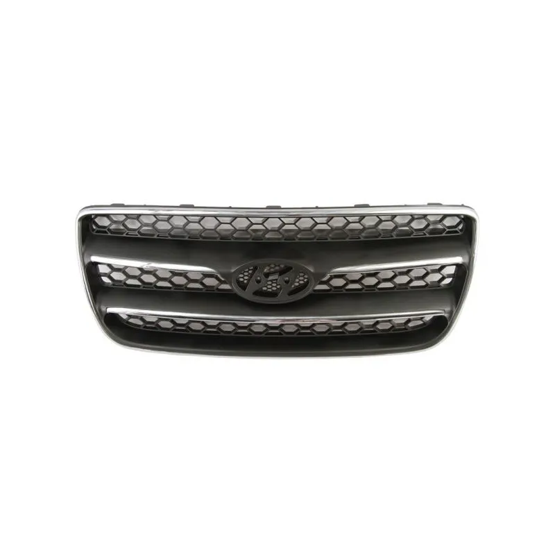 Grille de radiateur BLIC 6502-07-3181990P
