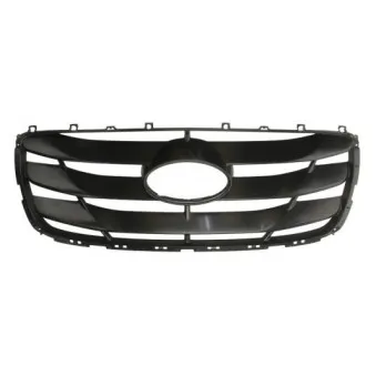 Grille de radiateur BLIC 6502-07-3181991P