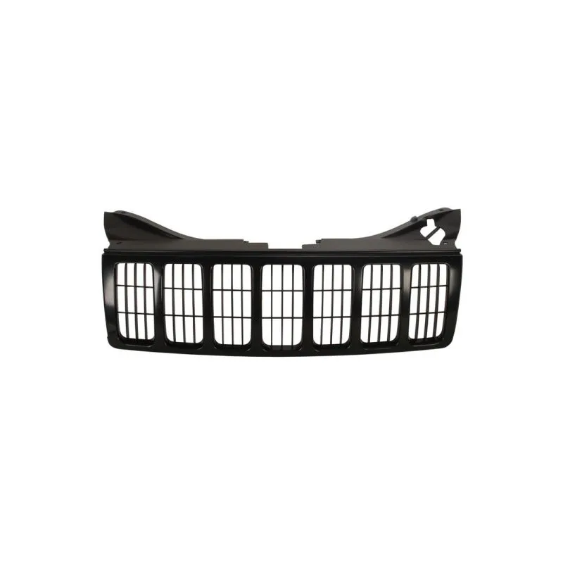 Grille de radiateur BLIC 6502-07-3205990P