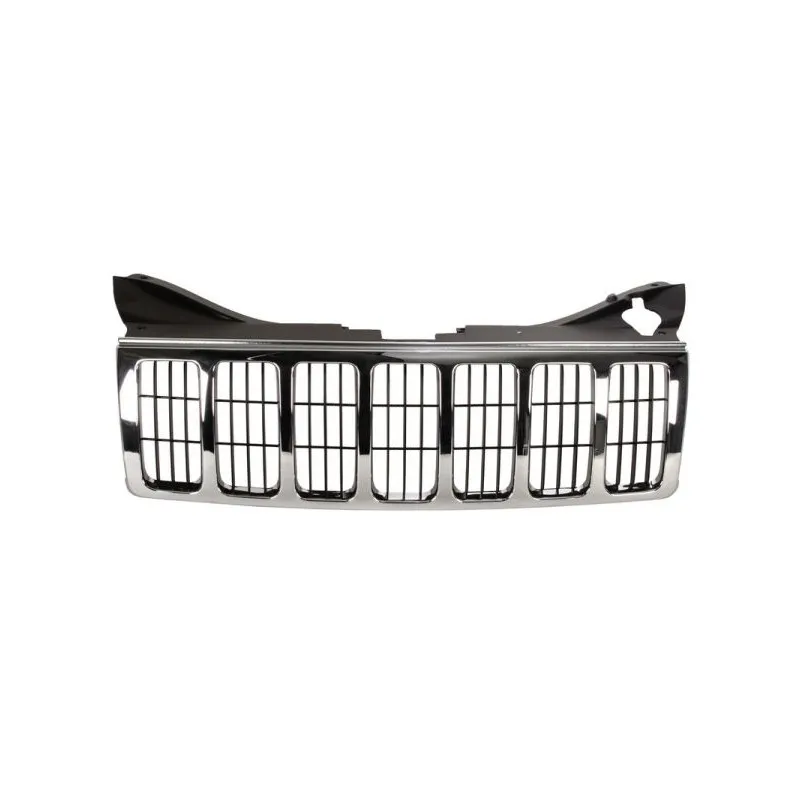 Grille de radiateur BLIC 6502-07-3205991P