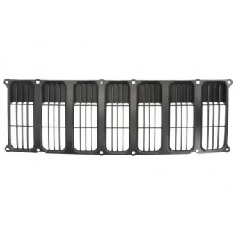 Grille de radiateur BLIC 6502-07-3213990P