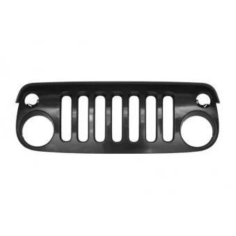 Grille de radiateur BLIC 6502-07-3255990P