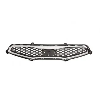 Grille de radiateur BLIC 6502-07-3266990P