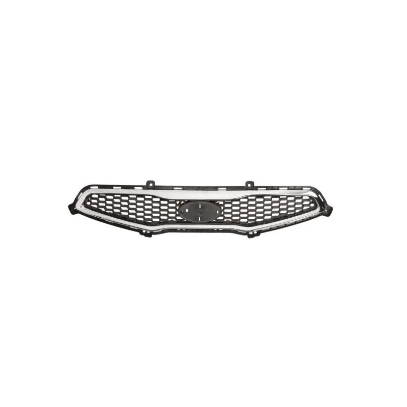 Grille de radiateur BLIC 6502-07-3266990P