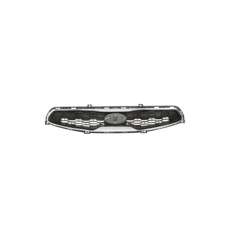 Grille de radiateur BLIC 6502-07-3266991P