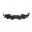 Grille de radiateur BLIC 6502-07-3279990P - Visuel 1