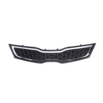 Grille de radiateur BLIC 6502-07-3279990P