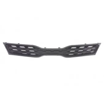 Grille de radiateur BLIC 6502-07-3279991P
