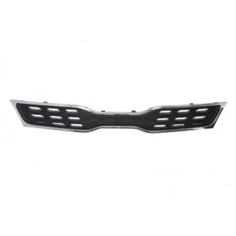 Grille de radiateur BLIC 6502-07-3279992P
