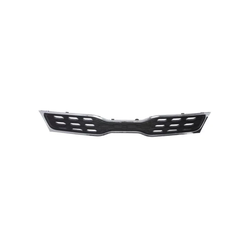 Grille de radiateur BLIC 6502-07-3279992P