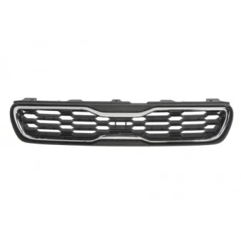 Grille de radiateur BLIC 6502-07-3284991P