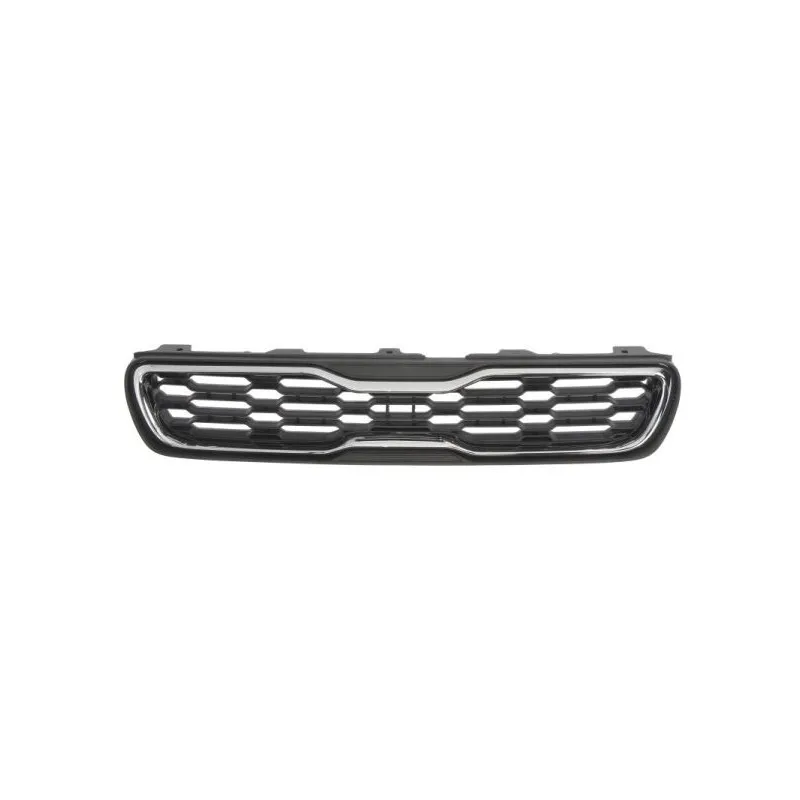 Grille de radiateur BLIC 6502-07-3284991P