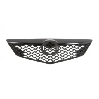 Grille de radiateur BLIC 6502-07-3419990P
