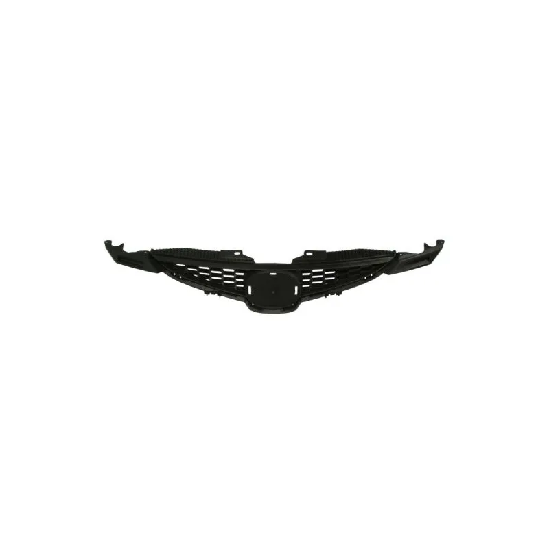 Grille de radiateur BLIC 6502-07-3421990P