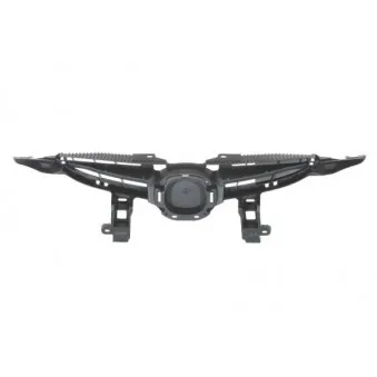 Grille de radiateur BLIC 6502-07-3421991P