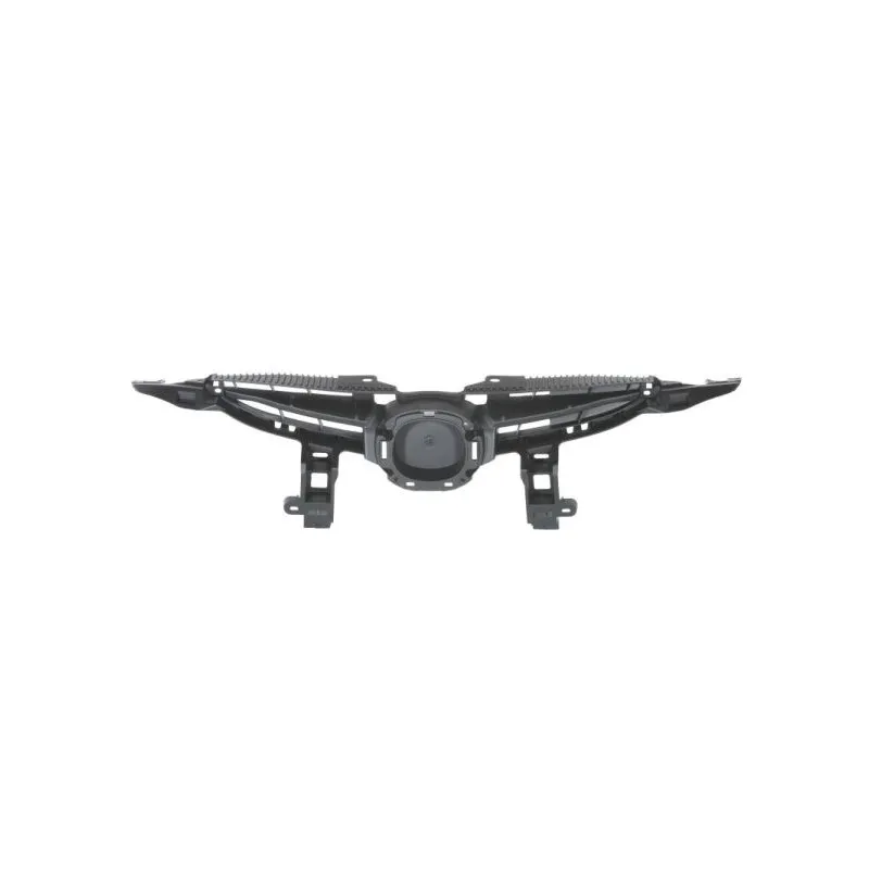 Grille de radiateur BLIC 6502-07-3421991P