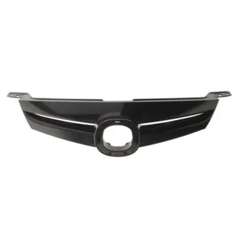 Grille de radiateur BLIC 6502-07-3451993P