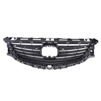 Grille de radiateur BLIC 6502-07-3453990P