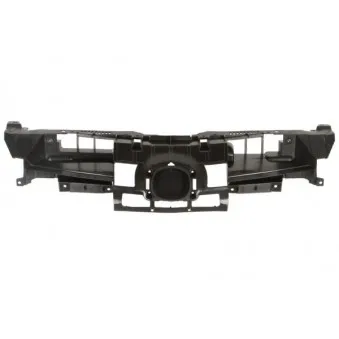 Grille de radiateur BLIC 6502-07-3477990P