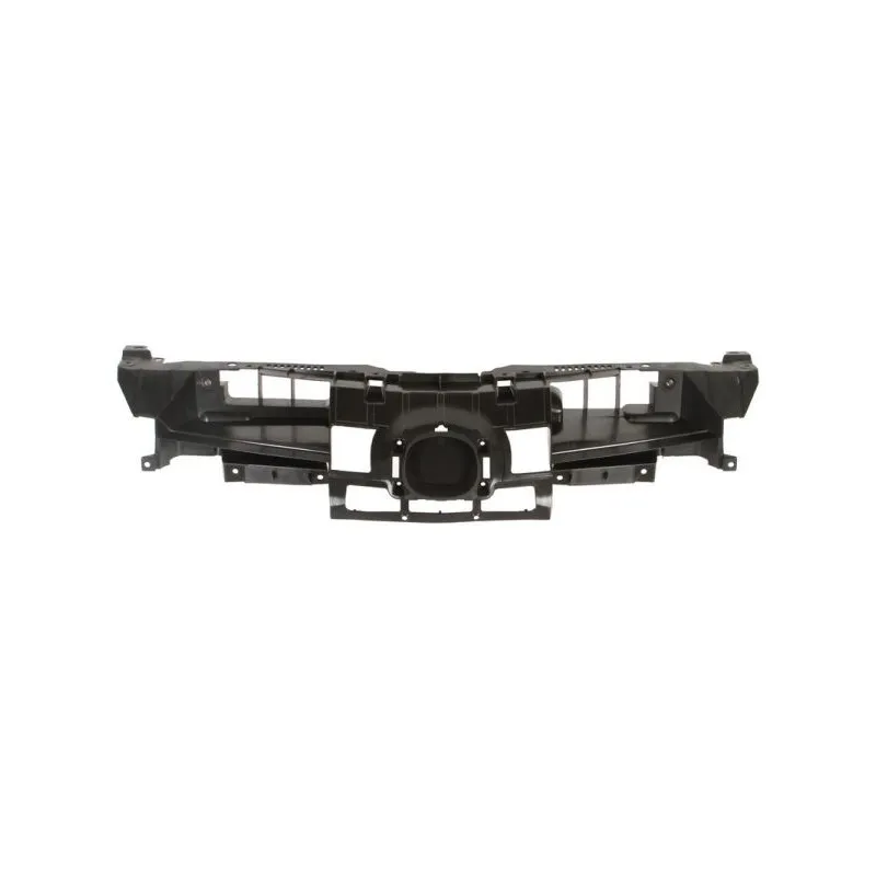 Grille de radiateur BLIC 6502-07-3477990P