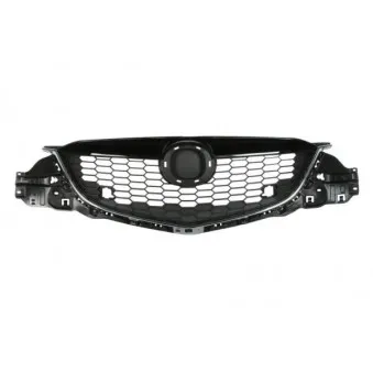 Grille de radiateur BLIC 6502-07-3495990P