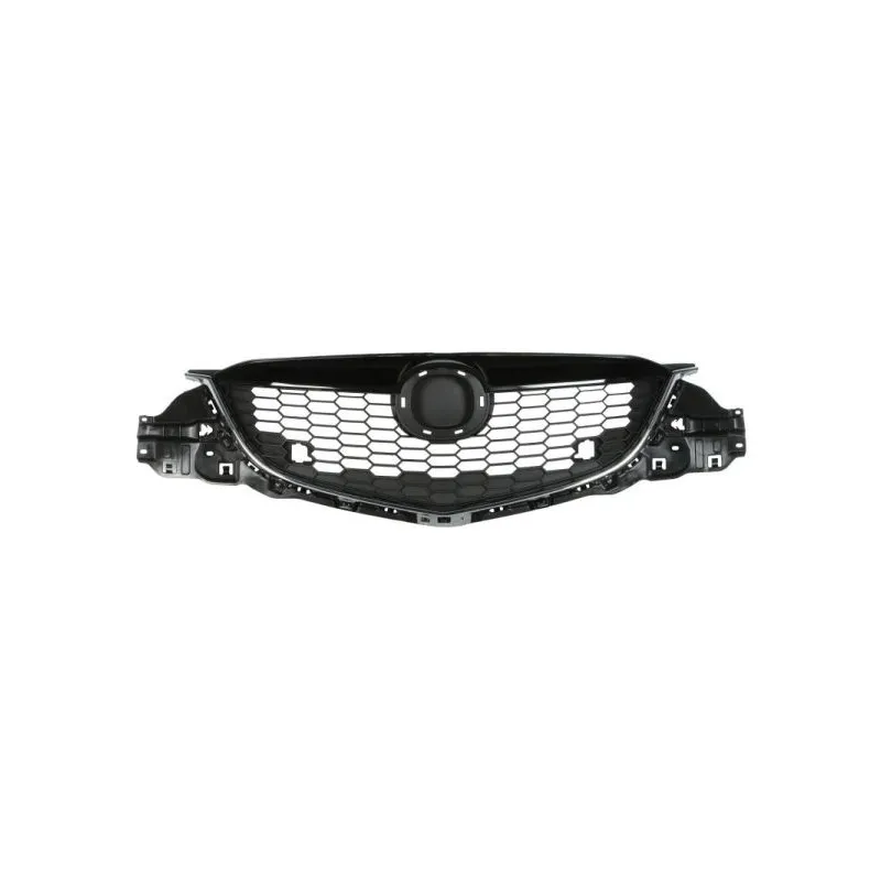 Grille de radiateur BLIC 6502-07-3495990P