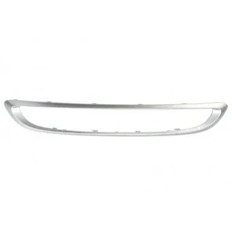 Cadre, grille de radiateur BLIC 6502-07-3502988P