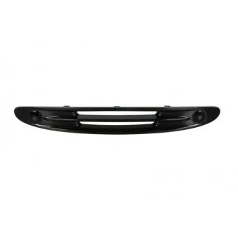 Grille de radiateur BLIC 6502-07-3502994P