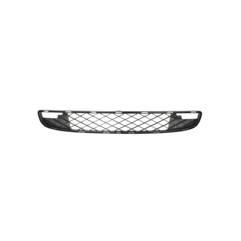 Grille de radiateur BLIC 6502-07-3502996P