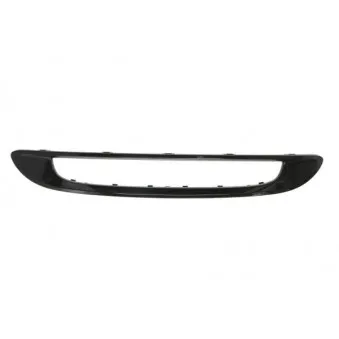Cadre, grille de radiateur BLIC 6502-07-3502997P