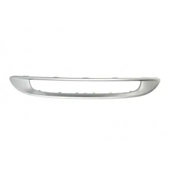 Cadre, grille de radiateur BLIC 6502-07-3502998P