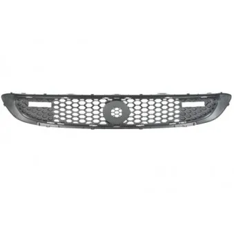 Grille de radiateur BLIC 6502-07-3502999P