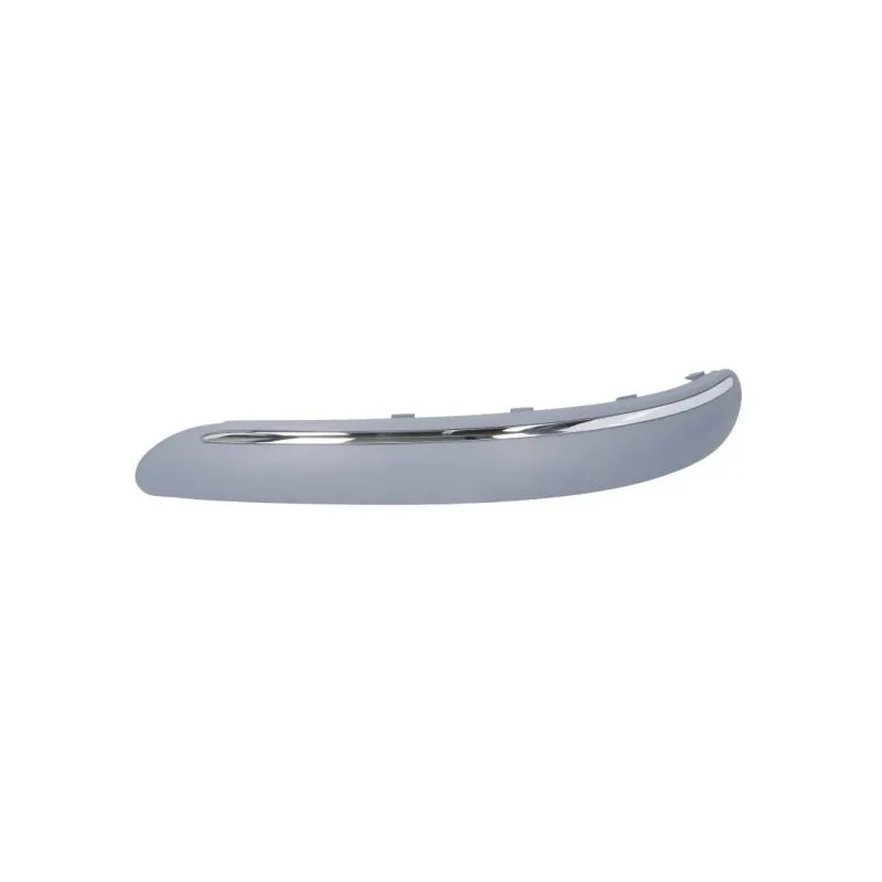 Baguette et bande protectrice, pare-chocs avant gauche BLIC 6502-07-3505921Q