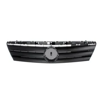 Grille de radiateur BLIC 6502-07-3505990P