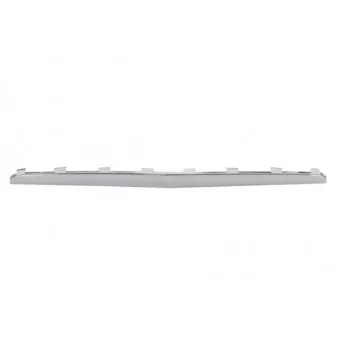 Baguette et bande protectrice, grille de radiateur BLIC 6502-07-3505993P