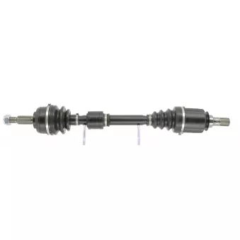 Arbre de transmission CEVAM