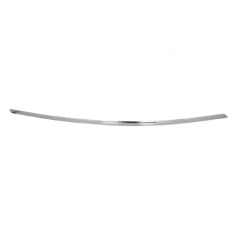 Baguette et bande protectrice, pare-chocs avant gauche BLIC 6502-07-3509921P
