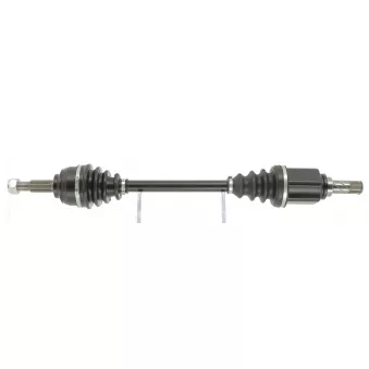 Arbre de transmission CEVAM