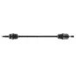 Arbre de transmission CEVAM 50209Z - Visuel 1