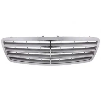 Grille de radiateur BLIC 6502-07-3515990P
